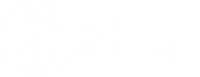 Cam Whitnall logo